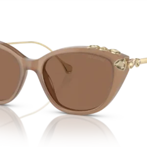 Gafas de Sol Swarovski SK6010 2002OK 53 17
