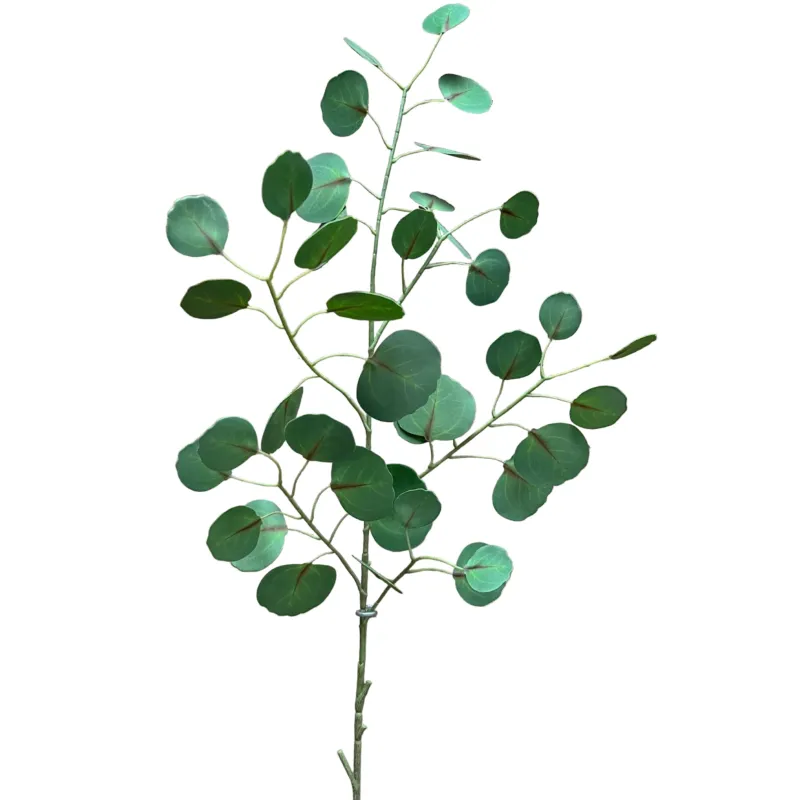 45.5" Silver Dollar Eucalyptus Spray | Green
