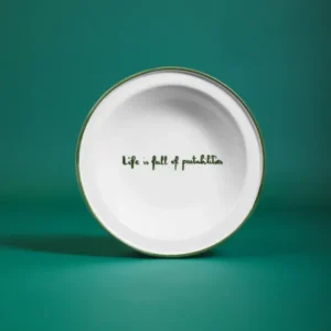 Life is Full of Pastabilities Bowl