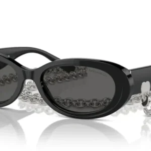 Gafas de Sol Tiffany&Co TF4221 8001S4 54 17