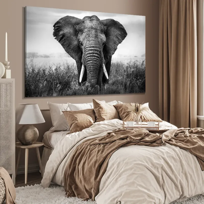 Canvastavla - Black & White Elephant