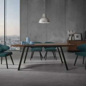 Set of Two Teal Black Modern Dining Chairs By Homeroots | Dining Chairs | Modishstore