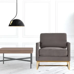Stylish Grey Velvet And Gold Steel Chair By Homeroots | Accent Chairs | Modishstore