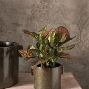 Clark Ceramic Black Pot Set Of 4 By Accent Decor | Planters, Troughs & Cachepots | Modishstore - 1
