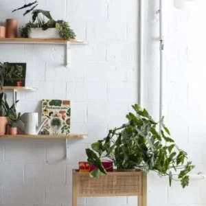 Kolyma Rattan & Wood Footed Planter Stand By Accent Decor | Planters, Troughs & Cachepots | Modishstore - 1