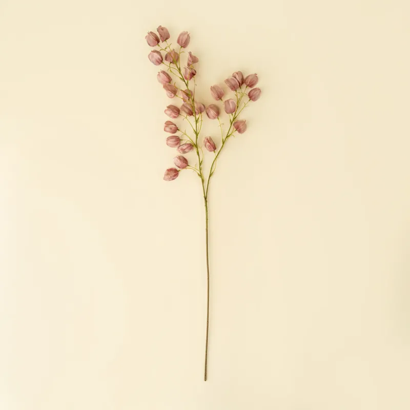 Lantern Flower Stem | Dusty Pink