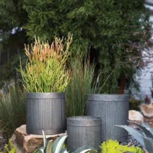Derby Collection Pot Set of 4 By Accent Secor | Outdoor Planters, Troughs & Cachepots | Modishstore - 1