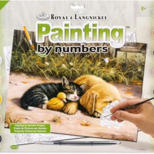 Paint By Numbers Junior Large - Sleepy Day