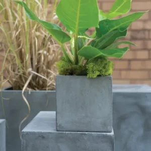 Newport Grey Concrete Cube Planter By Accent Decor- 6 Sizes | Planters, Troughs & Cachepots | Modishstore - 1