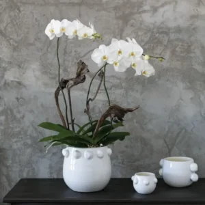 Fem Rosa Collection Set Of 4 By Accent Decor | Planters, Troughs & Cachepots | Modishstore - 1