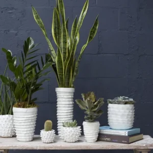 Cacti Pot Set of 8 By Accent Decor | Planters, Troughs & Cachepots | Modishstore - 1