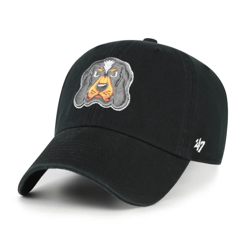 TENNESSEE VOLUNTEERS '47 CLEAN UP