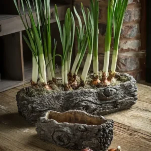 Vagabond Vintage Cement Log Planter - Set of 2 | Modishstore | Planters, Troughs & Cachepots
