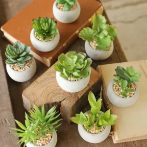 Kalalou 8 Small Succulents With Round Grey Pot - Set Of 2 | Modishstore | Botanicals