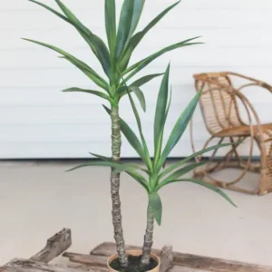Kalalou Artificial Heneken Plant With Painted Plastic Pot | Modishstore | Botanicals