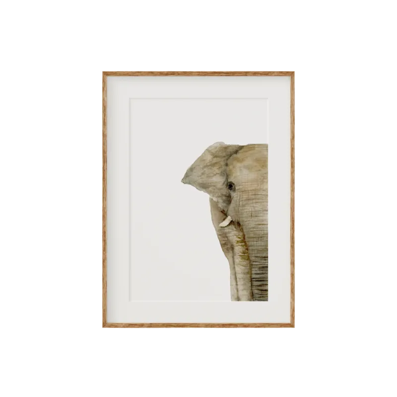 Amara | Elephant | Limited Edition Fine Art Print