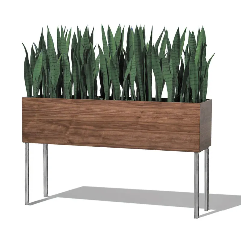 Sansevieria Green in Rectangle Planter w/ Legs By Gold Leaf | Planters, Troughs & Cachepots | Modishstore - 1