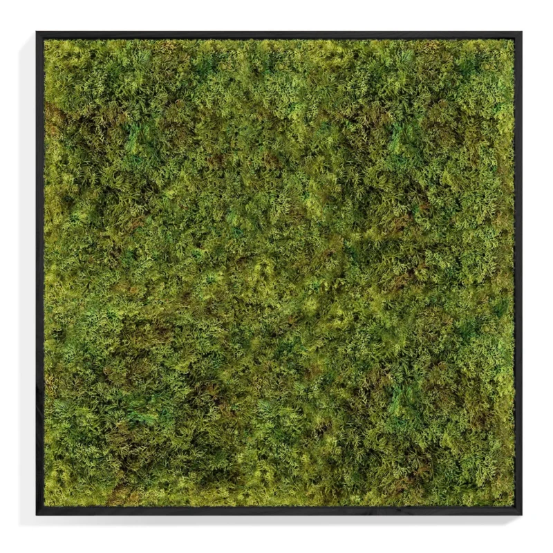 Green Wall, Textured Moss, Black Shadow Box By Gold Leaf | Wall Art | Modishstore - 1