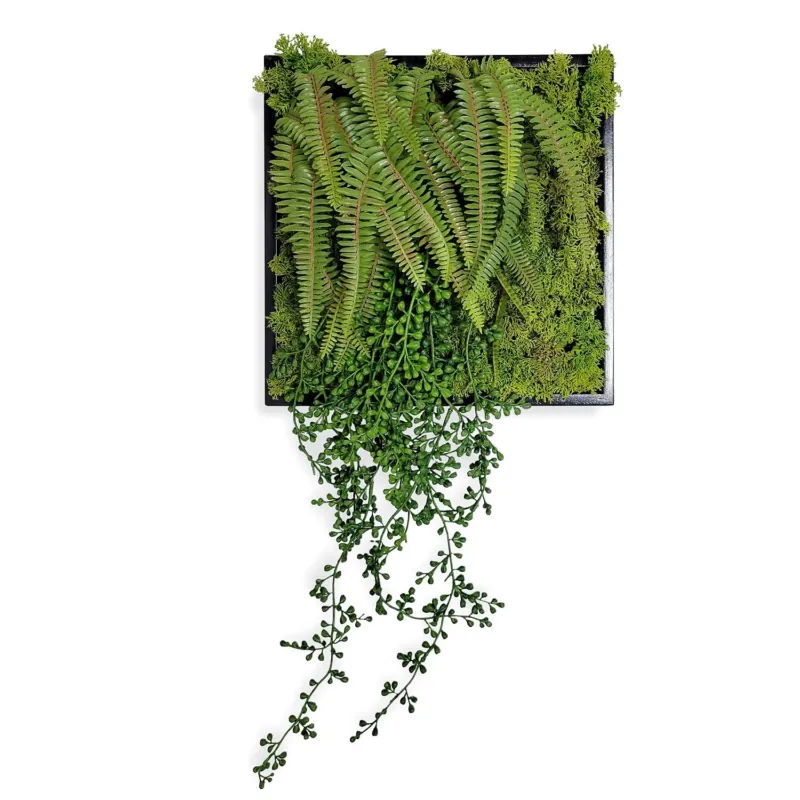 Green Wall, Mini Fern & Sedum Pearls 1 By Gold Leaf | Wall Art | Modishstore - 1