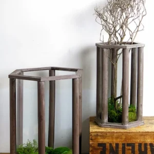 Set of Two Wood and Glass Terrariums | Glass Terrariums | Modishstore - 1