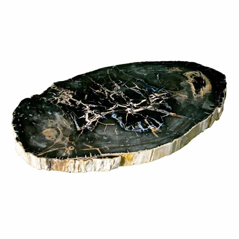 Large Petrified Wood Slab Coffee Table PF-1043 by Aire Furniture | Petrified Wood Slabs | Modishstore