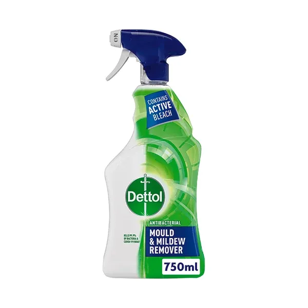 Dettol Mould and Mildew Remover 750ml 71815