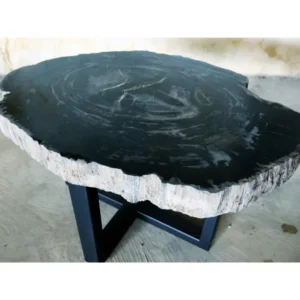 Petrified Wood Jumbo Slab Coffee Table with metal legs- 34.5in x 25in | Petrified Wood Slabs | Modishstore