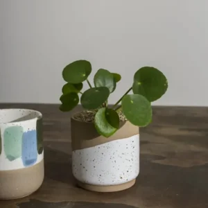 Cafe Mug Set of 8 By Accent Decor | Planters, Troughs & Cachepots | Modishstore - 1