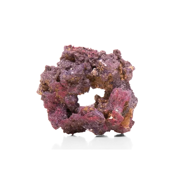 CaribSea LifeRock Donuts 4 per box