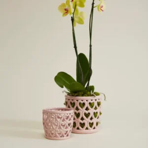 Cherished Hearts Orchid Pot Set of 4 By Accent Decor | Planters, Troughs & Cachepots | Modishstore - 1