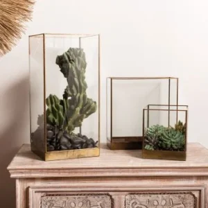 Coleman Glass top Display Box By Accent Decor- 3 Shapes | Display Cases | Modishstore - 1