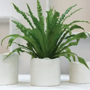 Delphi Pot Set of 8 By Accent Decor | Planters, Troughs & Cachepots | Modishstore - 1