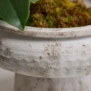 Garance Footed Bowl By Accent Decor | Decorative Bowls | Modishstore - 1