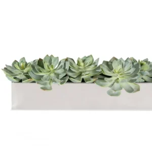Stainless Steel Table Planter, Ghost Grapto by Gold Leaf Design Group | Planters, Troughs & Cachepots | Modishstore