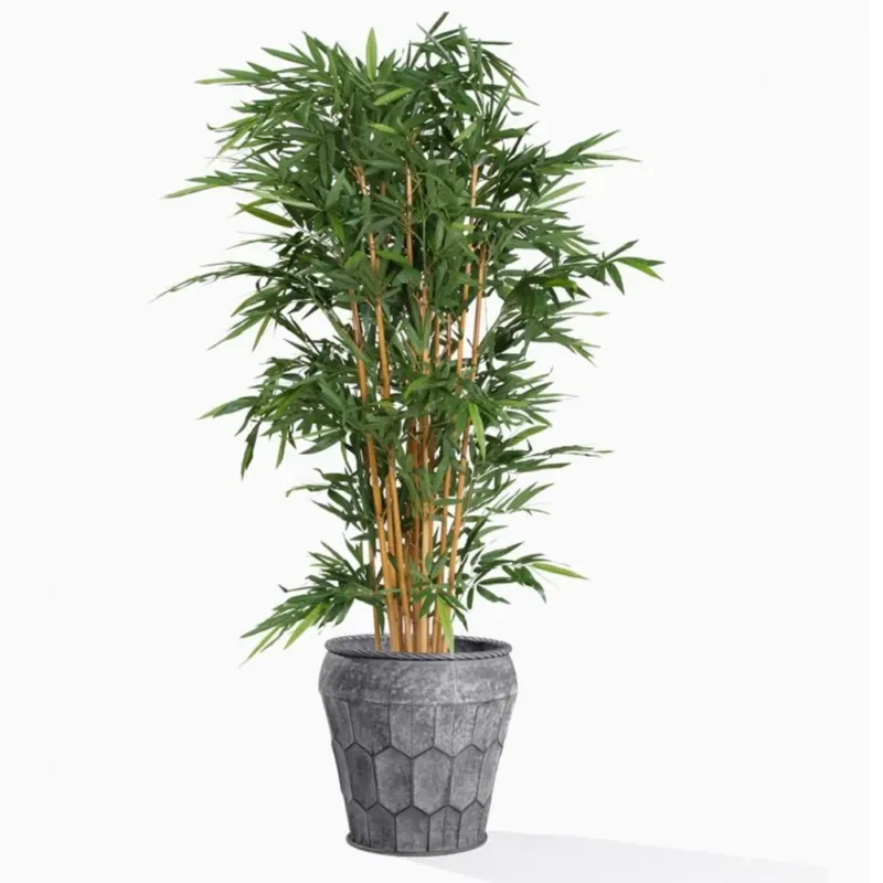 Gold Leaf Design Group Planter, Bamboo Tree In Pompeii | Planters, Troughs & Cachepots | Modishstore