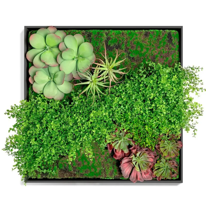 Green Wall, Button Fern Mix By Gold Leaf | Wall Art | Modishstore - 1