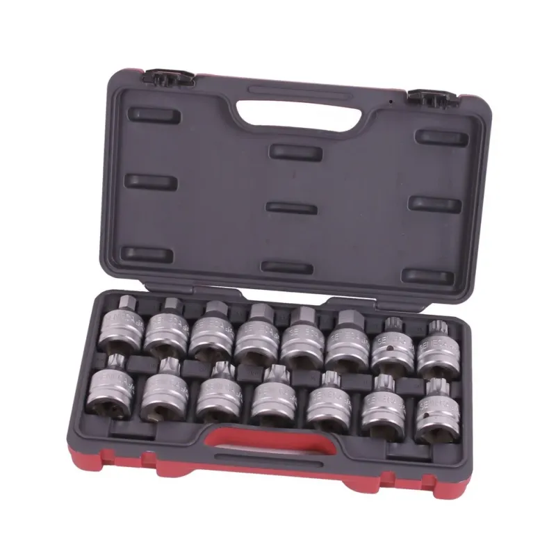 Seneca Bit Einsatz Satz Innenzechskant T-profil Spline Ribe 3/4" 15 Stück Profi – SE83103