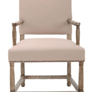 Safavieh Faxon Arm Chair W/ Brass Nail Heads | Accent Chairs | Modishstore - 1