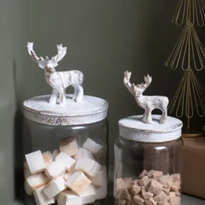 Renton Canister Set of 2 By Accent Decor | Jars & Canisters | Modishstore - 1