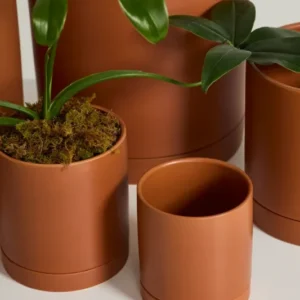 Terracotta Romey Pot By Accent Decor | Planters, Troughs & Cachepots | Modishstore - 1