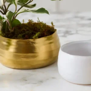 Tegan Bowl Set of 8 By Accent Decor | Decorative Bowls | Modishstore - 1