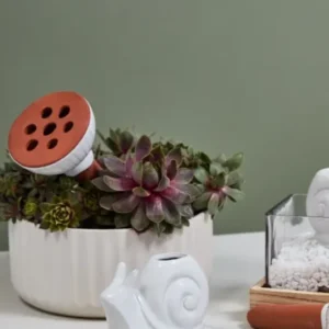 Whimsy Watering Collection Set of 4 By Accent Decor | Stands | Modishstore - 1