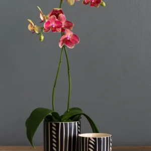 Ziva Pot Set of 4 By Accent Decor | Planters, Troughs & Cachepots | Modishstore - 1